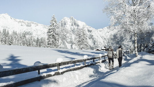 White Weeks - Hotel Seefelderhof