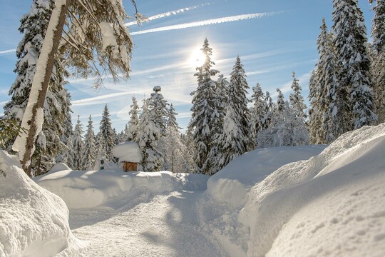 Settimane escursionistiche invernali - Hotel Seefelderhof