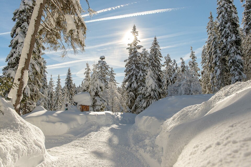 Winterwanderwochen - Hotel Seefelderhof
