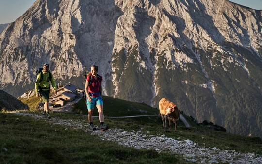 Mountain air autumn days – 3 days - Hotel Seefelderhof