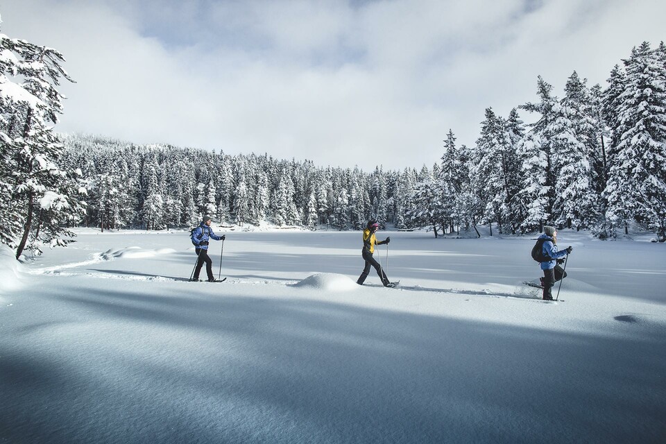 Escursioni invernali nella regione - Hotel Seefelderhof